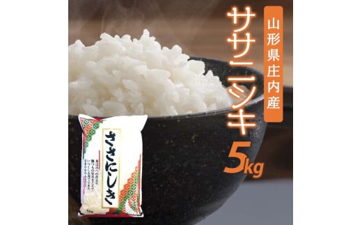 SB0559 令和6年産【精米】庄内産 はえぬき 10kg(5kg×2袋) JM - 山形県酒田市｜ふるさとチョイス - ふるさと納税サイト