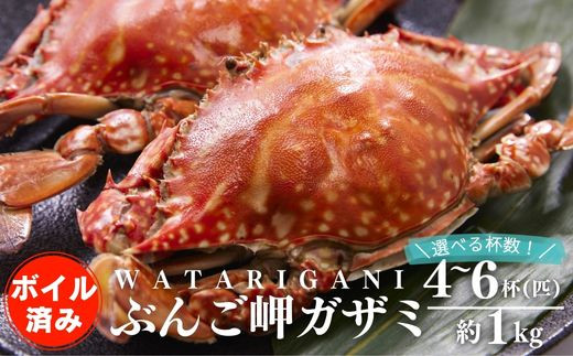 先行予約】 ぶんご岬ガザミ （蒸し） 合計 約1kg 選べる杯数【4杯／5杯