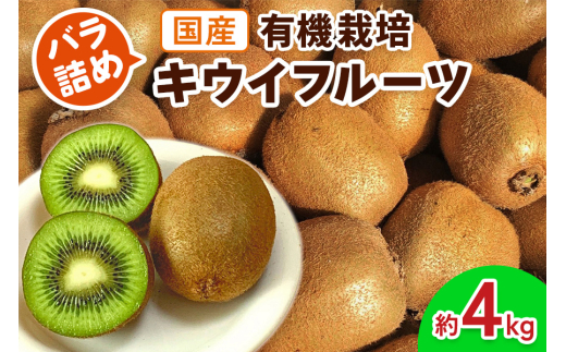 sd1_e2815ed953524b0a16ff3ebba1