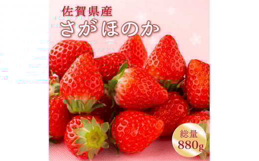 yꌧ咬zys\z2026N1{菇\聟 ق̂ 880g (220g×4p)