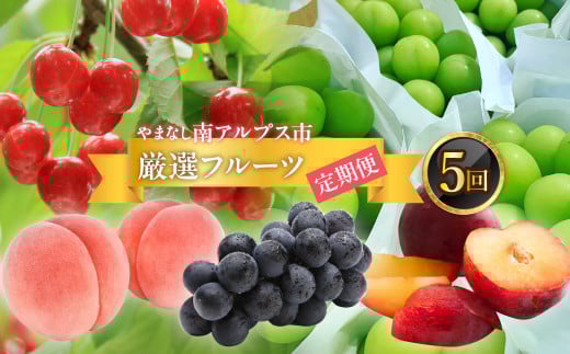 yRAvXsz2026Ns\񁄃t[cMtgXIԓAvX̌It[cց@S5iiځEEMzEԂǂEVC}XJbgj ALPAH047