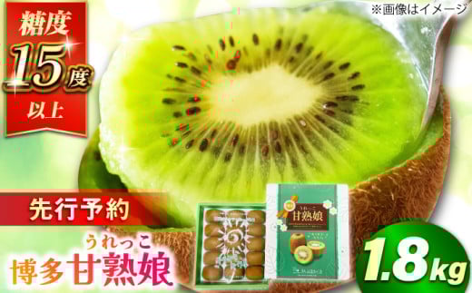 【福岡県広川町】【★先行予約★ 2026年1月中旬より発送】博多甘熟娘(うれっこ) ヘイワードキウイ 約1.8kg(15玉) 果物 くだもの フルーツ きうい キウイ ふるーつ 広川町 / JAふくおか八女農