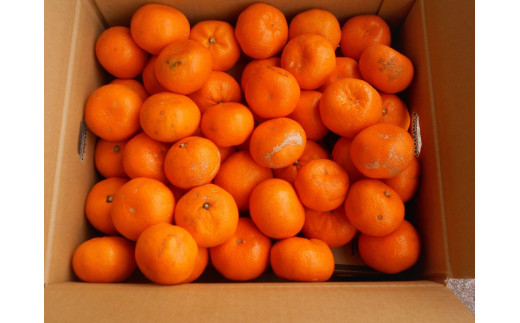 ya̎RxRzIBLc݂ 10kg 󂠂 ƒpLY  TCY܂ 2L`2S ꂩ͂ mSL39n