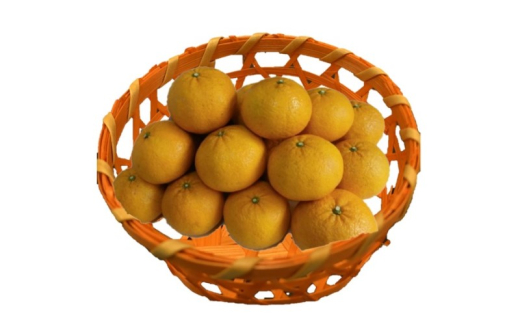 yꌧsz[5353-0588]É 5kg k ʕ t[c fU[g zs: