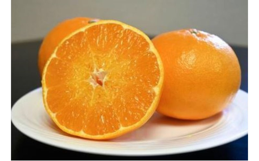 yꌧsz[5353-0603]ɂイ܂ 3kgiϔj k ʕ t[c fU[g zs: