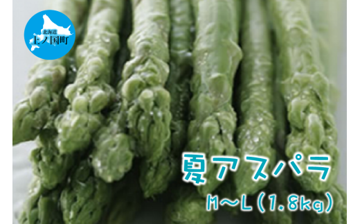 ykCmzy2026NĔzI_̒̂ăAXp@M`Li1.8sj@̂@_ƒ@VN@O[AXp@Ė؁@{؁@VLVL@Ƃꂽā@kCY