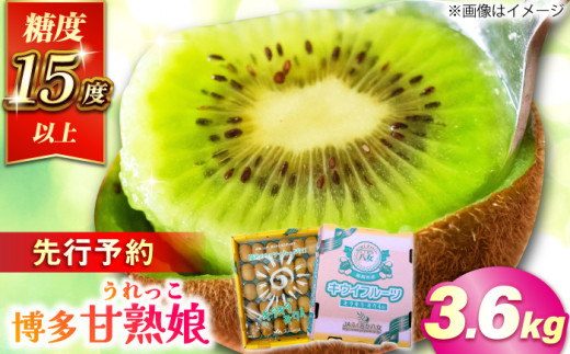【福岡県広川町】【★先行予約★ 2026年1月中旬より発送】博多甘熟娘(うれっこ) ヘイワードキウイ 約3.6kg(30玉) 果物 くだもの フルーツ きうい キウイ ふるーつ 広川町 / JAふくおか八女農