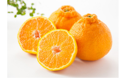 №5353-0582]でこぽん 不知火（デコポン）約5kg 柑橘 果物 フルーツ