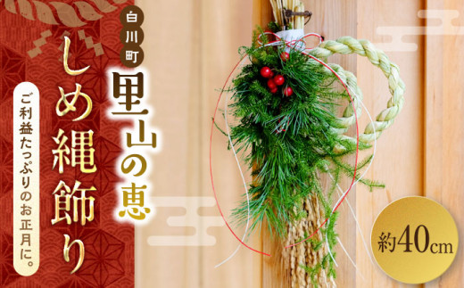 しめ縄 しめ飾り リース 正月飾り 正月リース 頼もしく お正月 しめ縄 しめ飾り リース 正月飾り 正月リース 頼もしく お正月