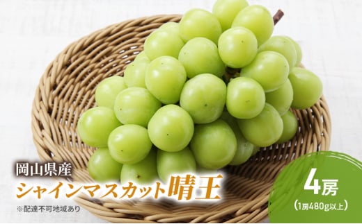 yR˓szԂǂ 2026N s\ VC}XJbg  4[ (1[480gȏ) uhE  RY Y t[c ʕ Mtg [5735-2046]