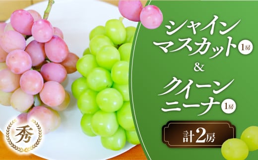 2025年発送】 計2房 シャインマスカット1房 クイーンニーナ1房 セット 先行予約 先行 予約 山梨県産 産地直送 フルーツ 果物 くだもの  ぶどう ブドウ 葡萄 シャイン シャインマスカット クイーンニーナ 新鮮 人気 おすすめ 国産 贈答 ギフト お取り寄せ AN-132 - 山梨県  ...