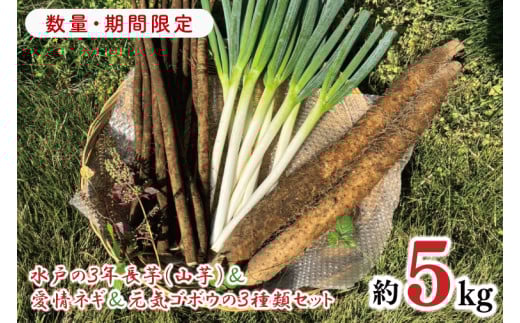 【茨城県水戸市】【11月中旬より発送】【数量限定】水戸の3年長芋(山芋)&愛情ネギ&元気ゴボウの3種類セット【茨城県産 野菜 やさい 野菜セット 水戸野菜 ごぼう 牛蒡 ながいも やま