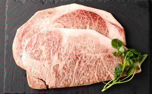 yF{lgsz y2 ցz [X Xe[L 400g 200g×2pbN v800g  Xe[L a   јa Y BY F{Y Ⓚ