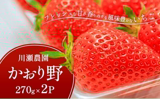 yꌧČsz쐣_̂@2pbN [5694-1003]