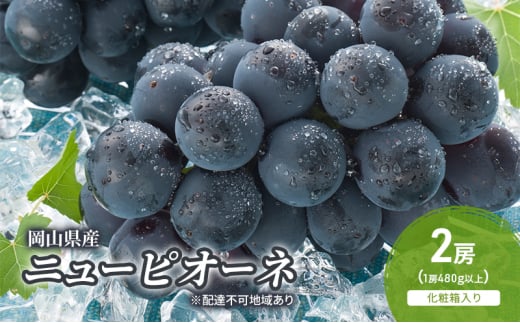 yR˓szԂǂ 2026N s\ j[sI[l 2[(1[480gȏ) ϔ uhE  RY Y t[c ʕ Mtg [5735-2045]