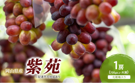 yR˓szԂǂ 2026N s\  1[(700gȏ) ϔ uhE  RY Y t[c ʕ Mtg [5735-2051]