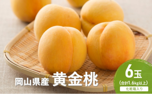 yR˓sz 2026N s\  6(1.6kgȏ) ϔ   RY Y t[c ʕ Zbg Mtg [5735-2059]