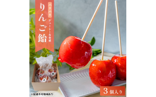 №5533-0400]お千代保稲荷から贈る 行列のできるりんご飴専門店のりんご