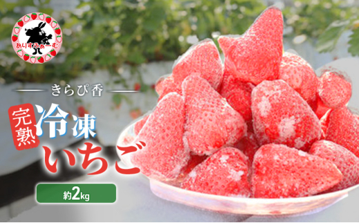 yÉcsz[5695-1647] Ⓚ É 肷ӂ[ ńuҍvnⓀ 2kg  C`S ycsz