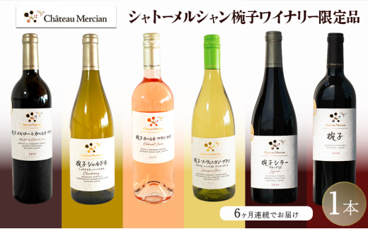 y쌧cszC Vg[VoqCi[i@1{͂@6 cs    [5312-1201]