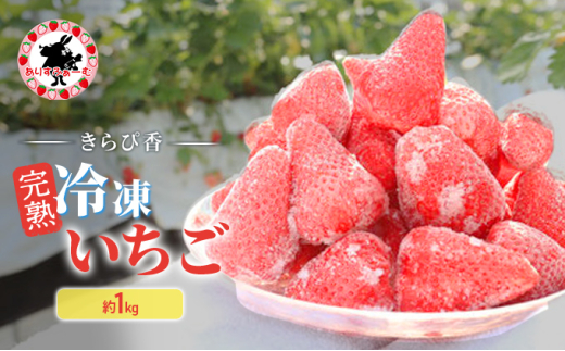 yÉcsz[5695-1646] Ⓚ É 肷ӂ[ ńuҍvnⓀ 1kg  C`S ycsz
