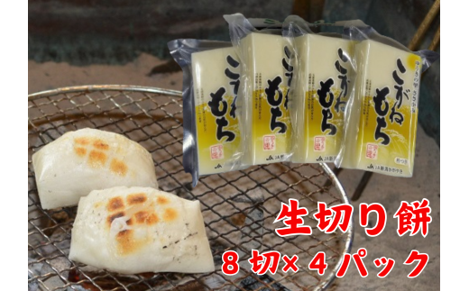 yVszyH~z n ؖ 8×4pbN 䂤̗݂̂˂ ؂   ؂ 2P04011