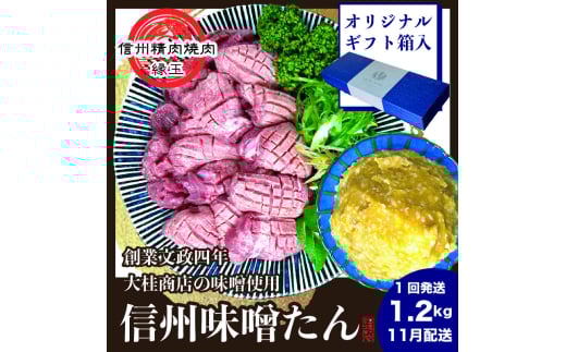 y쌧cszސ@MBX@1.2kg Mtgp 2025N11z  ^  ^ ē Ⓚ Mtg MBX MB [5312-1220]