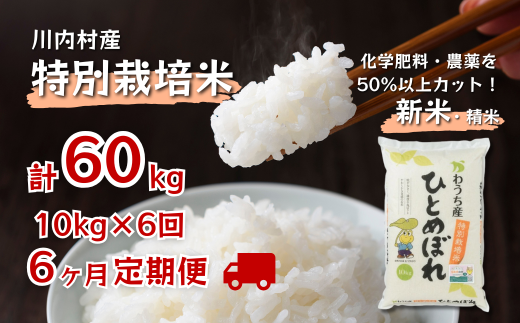 【超希少】特別栽培米 ひとめぼれ 10kg ひとめぼれ 10kg 特別栽培米