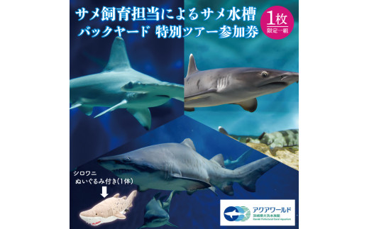 アクアワールド茨城県大洗水族館 サメ飼育員による サメ水槽 バックヤードツアー サメ給餌体験 サメタッチング サメについての講義 サメ卵殻 瓶詰め  標本 (１本) シロワニ ぬいぐるみ (1体) プレゼント アクアワールド 茨城県 大洗 水族館 - 茨城県大洗町｜ふるさと ...