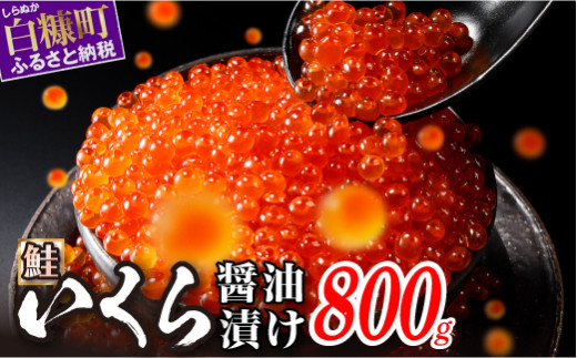 いくら醤油漬 鮭卵 800g(200g×2パック×2箱) 小分け イクラ 鮭いくら 鮭