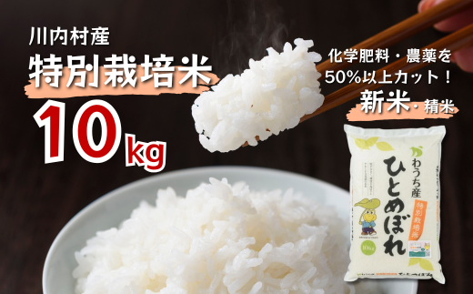 ふるさと納税 川内村 令和6年度産 かわうち産 特別栽培米 ひとめぼれ 10kg 令和6年度産 かわうち産 特別栽培米 ひとめぼれ 5kg | 福島県川内村