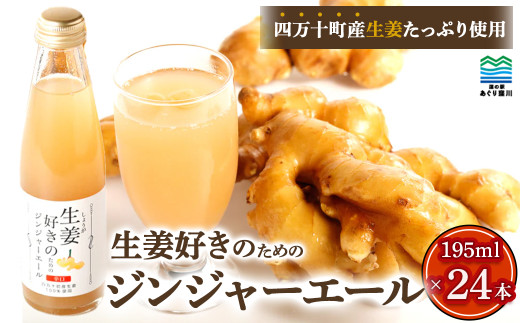 エール　SY　４枚セット よなよなエール ギフト 5本セット【クラフトビール ビール 詰め合わせ