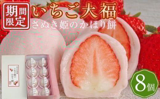 y쌧ʂszy2zt[c啟 ʂP̂ق 8y  啟 啟 XC[c َq aَq ʂs z