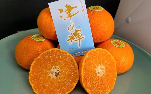 2026年1月中旬より出荷】JAさが大和 佐賀産「津の輝」3㎏ - 佐賀県NPO