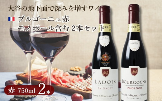 ブルゴーニュ赤ワイン 2本セット 【公式通販】
