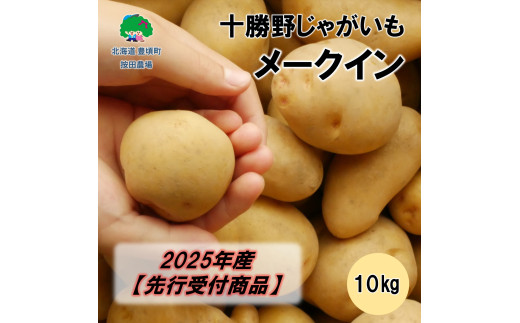 ジャンボサイズ 数量限定 じゃがいも 140 しがなかっ