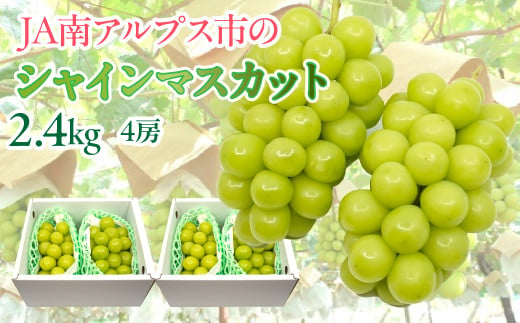 ☆日本テレビ「ZIP！」で取り上げられました！☆【令和7年発送先行予約】絶品！南アルプス市産シャインマスカット1.8kg ALPAA004 | 山梨  山梨県 ぶどう 葡萄 ブドウ マスカット 種なし 大粒 フルーツ くだもの 果物 高級 新鮮 産地直送 贈答 ギフト 家庭用 1.8キロ 2025年  ...