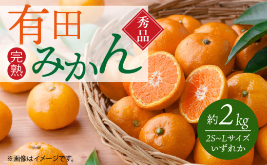 ya̎R󒬁zG7343_ Gi Lc݂ 2kg 2S`L TCY ꂩ Ðwy ~l Lx VRy Ί_ iX z _ Ö oX RN[ 킢 ʕ ʎ t[c k