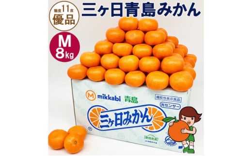 yÉlszO݂yDizMTCY8kg (72O) ~J ʕ  t[c Â ls [5360-0131]