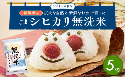 yVVszĐVYRVqJZbg 5kg Yn