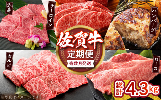 yꌧ]kzyzꋍb`ZNVցyvXz [HCX006]