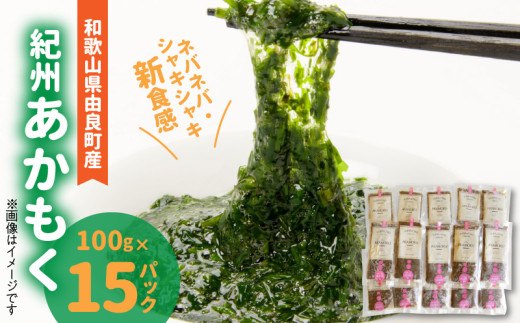 ya̎R󒬁zBB6231_IBmRǒYn100g×15pbNi2025NYj