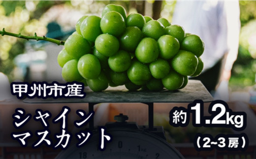 農家厳選！】甲州市産 シャインマスカット 約2kg【2025年発送】（PJ）B15-144 【シャインマスカット 葡萄 ぶどう ブドウ 令和7年発送  期間限定 山梨県産 甲州市 フルーツ 果物 - 山梨県甲州市｜ふるさとチョイス - ふるさと納税サイト