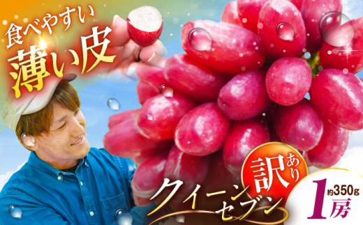 y_szt[c y2026Ns\zy10zypz҂̐ViINC[Zu 1[i350gjȈՕ 󂠂Ԃǂ  炲 Ȃ ʕ Y Yn { 