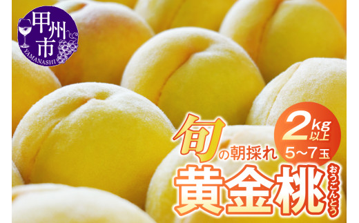 終了 山梨県産黄金桃 楽天市場】山梨県より産地直送 JAふえふき 御坂支所 黄桃 （品種