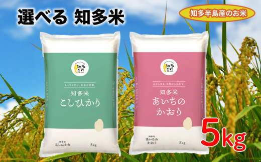 知多米 選べる こしひかり あいちのかおり 5kg 米 コシヒカリ こめ こしひかり 米 ライス ご飯 ごはん 主食 愛知 コシヒカリ こめ こしひかり  米 ライス ご飯 ごはん 主食 コシヒカリ こめ こしひかり 米 ライス ご飯 ごはん 主食 コシヒカリ