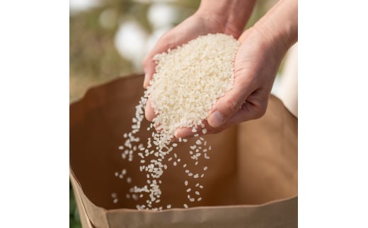 ymzl\쌹̐炩Ȑňl\쐅n@܂Y