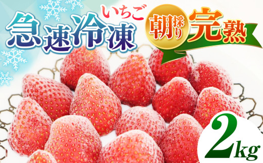 ytNÎsz nE}Ⓚ 2kg |   C`S ʕ t[c ӂ[ Ⓚ  ꂢƂ C`S ʎ ʏ` Ⓚ ⓀHi Ⓚ ̂ n VN X[W[ IX