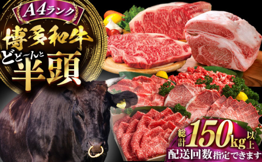 yLOszyۂƃI[_[JbgIza HאsZbgsLOstyMEAT PLUSz [VBB083]