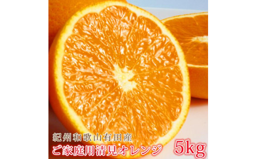 ya̎R쒬zmƒp󂠂nIBLcYIW 5kgm2026N3{ȍ~nms\nmUT132n